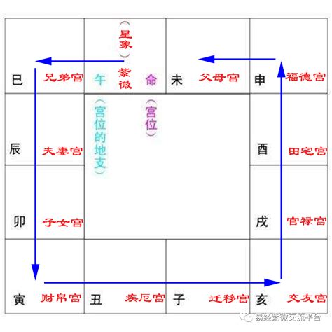 紫微宮位怎麼看